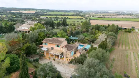 Finca rústica en Nucleo Urbano 54