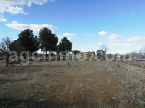 Finca rústica en calle Camino de La Vega, nº 2