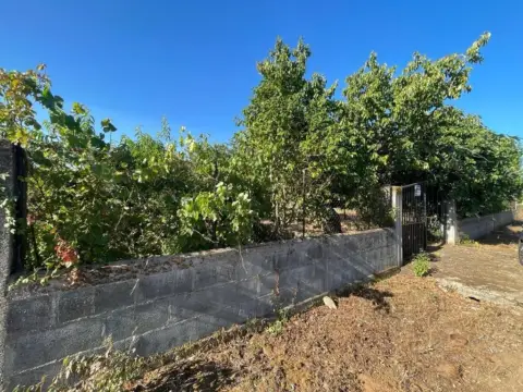 Terreno en calle Chanas