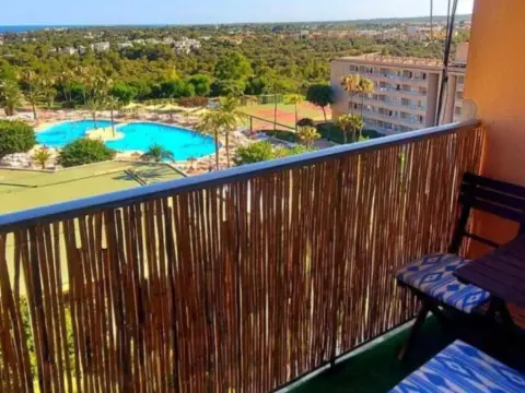 Estudio en Camí de Sa Mola