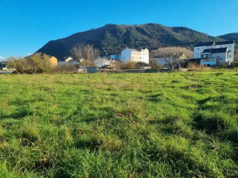 Terreno en Flores del Sil