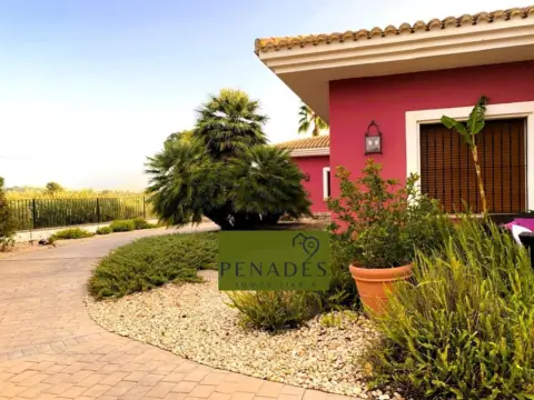 Chalet en Camí La Lloma Verda