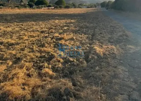 Terreno en calle Dehesa Aljaraque