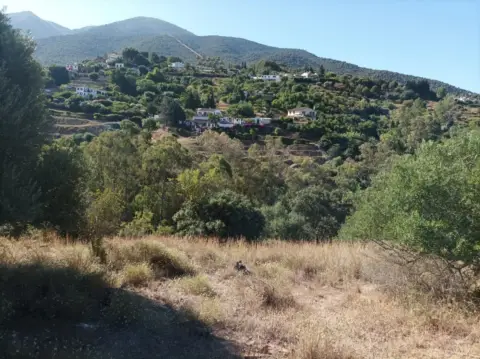 Terreno en Jurique