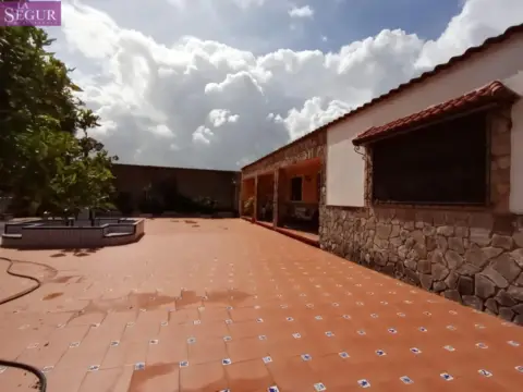 Finca rústica en Benalup  Casas Viejas