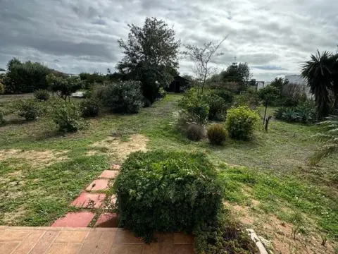 Finca rústica en Pago del Humo