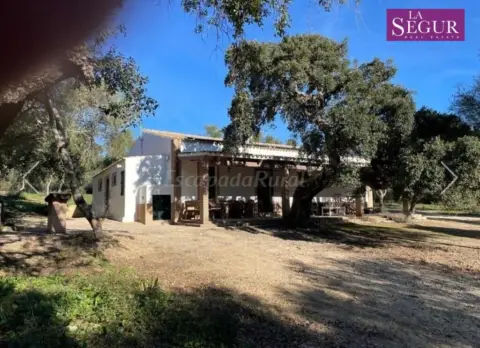 Finca rústica en Alcala de los Gazules