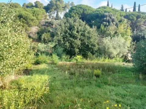 Terreno en La Sagrera