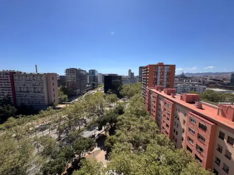 Pis – Barcelona Capital