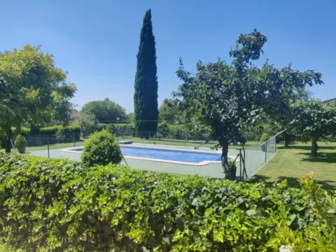 Finca rústica en El Molar