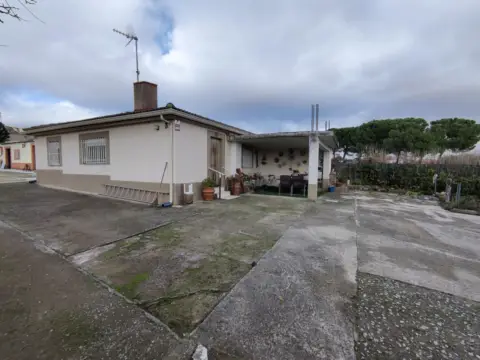 Finca rústica en El Molar