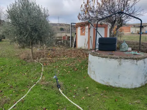 Finca rústica en El Molar