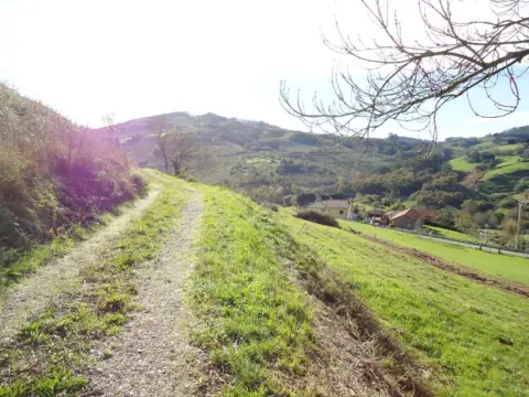 Terreno en calle LL-9