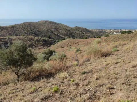 Terreno en Carretera de Chilches