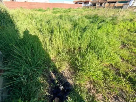 Terreno en Camino Ancho