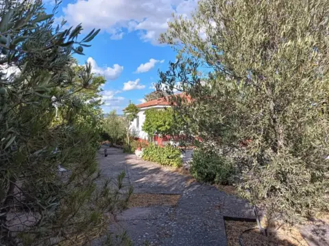 Chalet en Avenida Encina