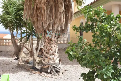 Chalet en calle de Falucho-Playasol 2, nº SN