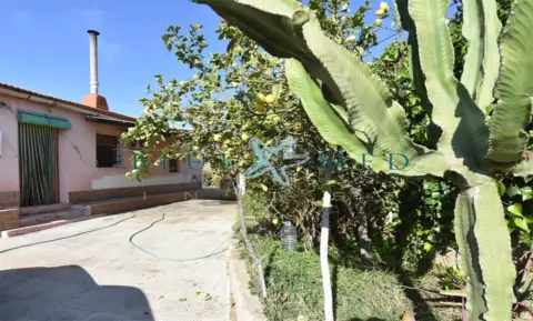 Finca rústica en Las Balsicas