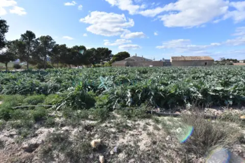Finca rústica en Cañadas del Romero