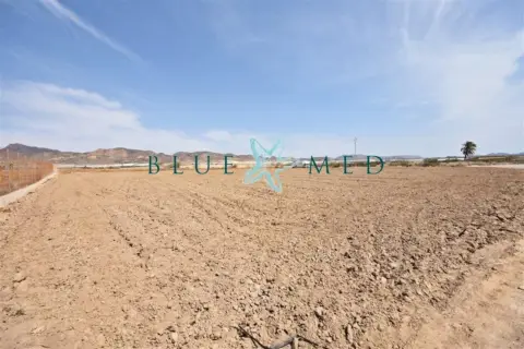 Terreno en calle Pera Ros, nº Sn