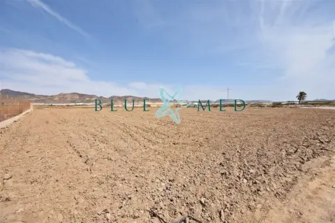 Terreno en calle Pera Ros, nº Sn