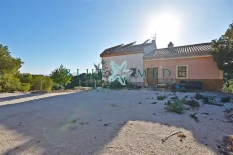 Finca rústica en calle Morti Alto