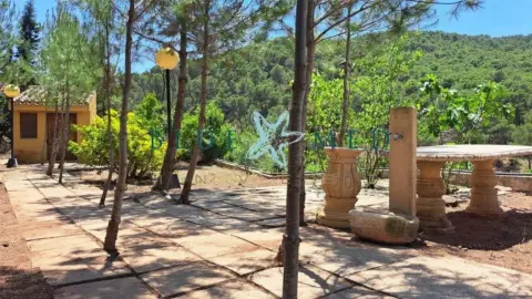 Finca rústica en calle de la Fuente Alta