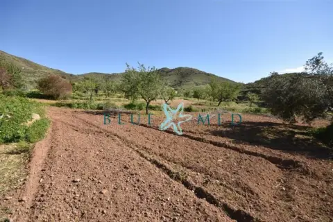 Terreno en Isla Plana-Los Puertos