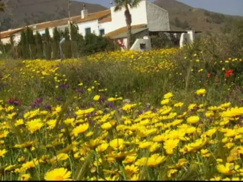 Finca rústica en Mazarrón