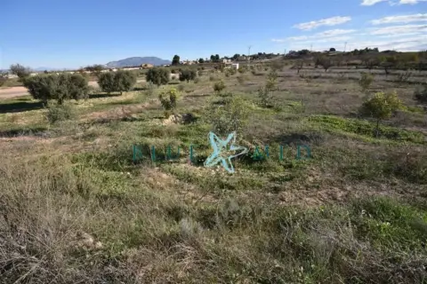 Terreno en calle Viña Larga