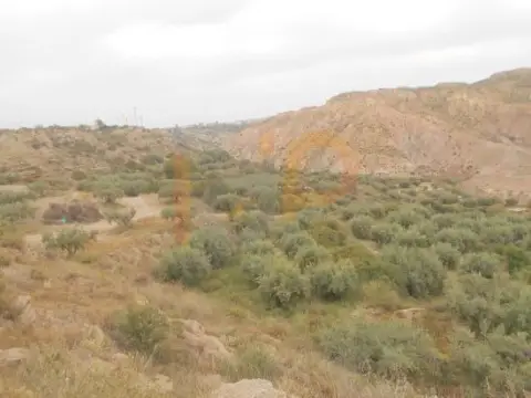 Terreno en Santa Maria de Nieva