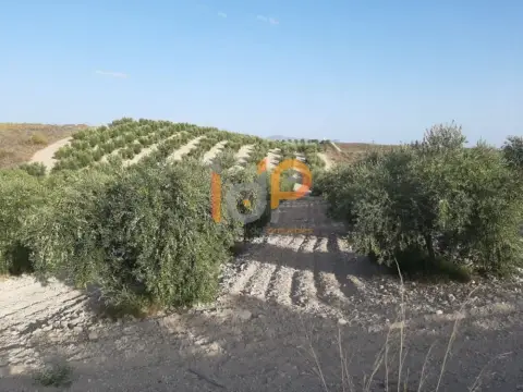Casa en Sorbas