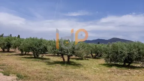 Terreno en San Francisco
