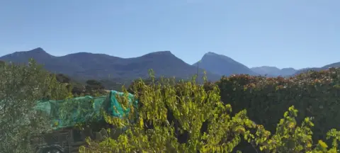 Finca rústica en calle Lugar Diseminado, El Cubil, nº 6