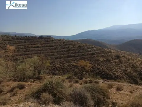 Finca rústica en Pago de La Loma