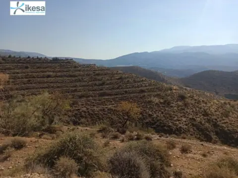 Finca rústica en Pago de La Loma