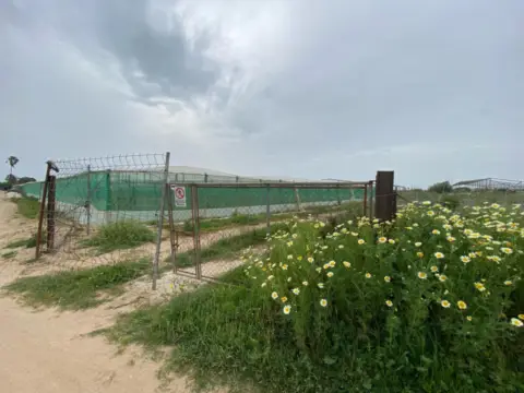 Terreno en Costa Ballena - Las Tres Piedras