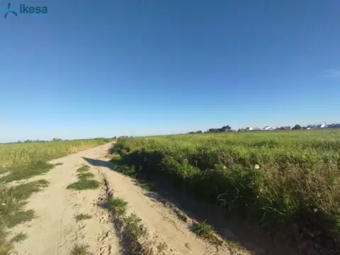 Terreno en Almonte