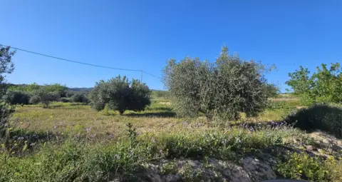 Terreno en calle Paraje los Garcias