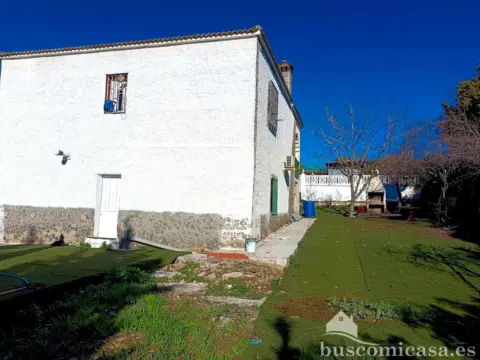 Finca rústica en Urbanización Álamo I Bis