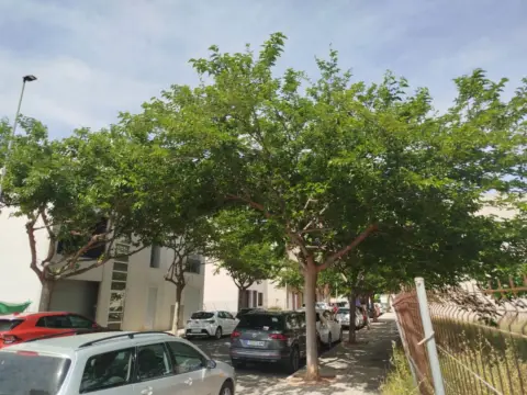 Terreno en Carrer de les Moreres