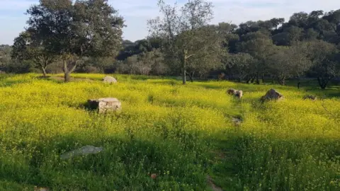 Terreno en calle del Hortelano