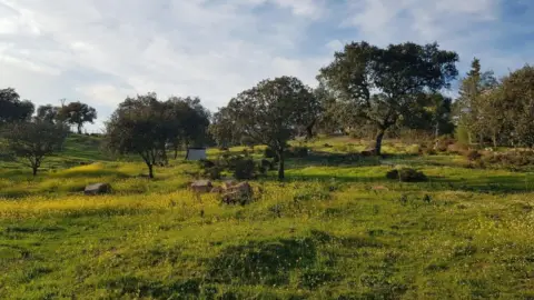 Terreno en calle del Hortelano