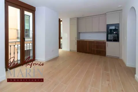 Apartamento en Casco Antiguo