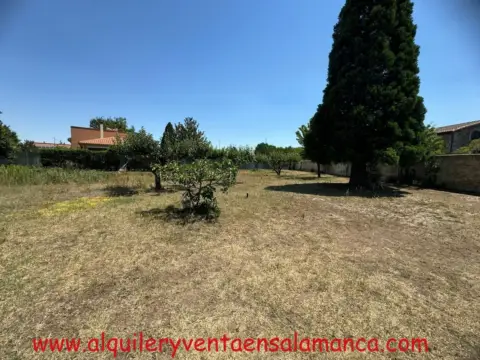 Terreno en calle del Cañaveral