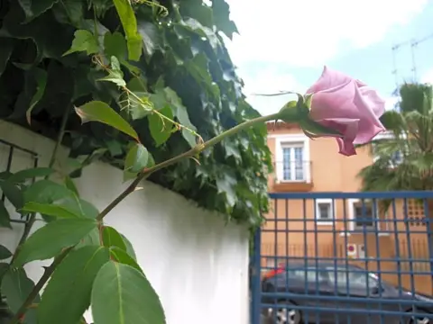 Casa pareada en calle de Antonio Moya Fernández