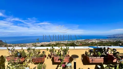 Ático en Palo Blanco