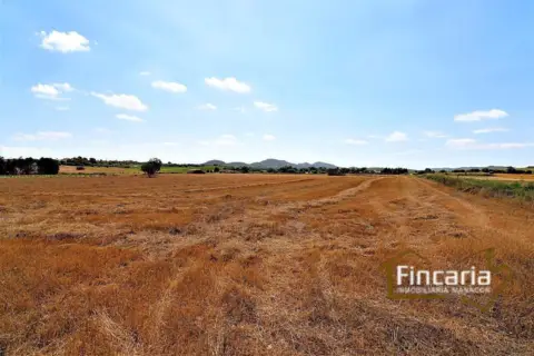 Terreno en Camí de Son Moix