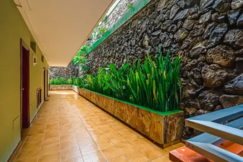 Estudio en San Antonio-Las Arenas