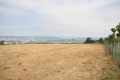 Finca rústica en calle de la Torre